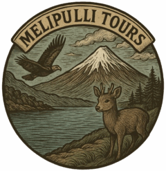 Melipulli Tours